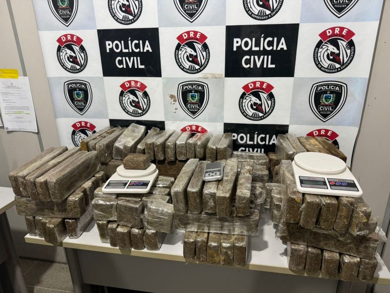 Mesmo sem reconhecimento financeiro, Polícia Civil apreende 100kg de maconha em Campina Grande