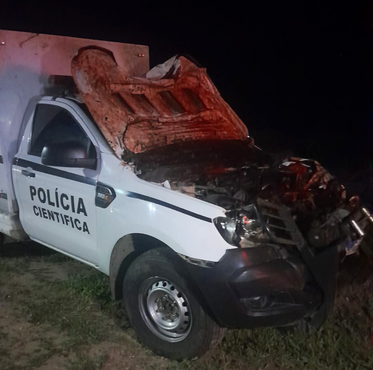 Barra de Santa Rosa: Animal na pista causa acidente com viatura da Polícia Científica
